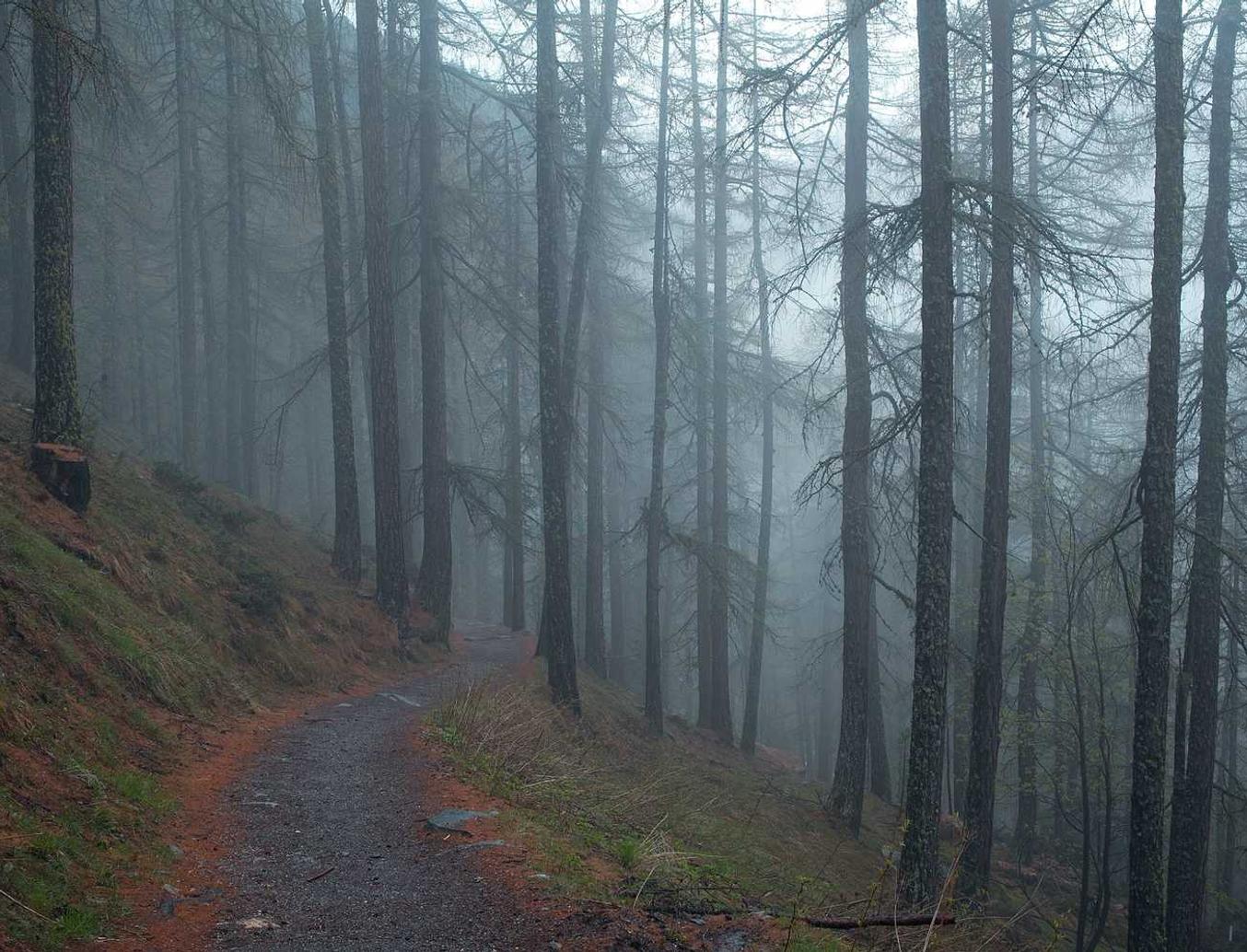 怎么注册家家悦会员卡账号