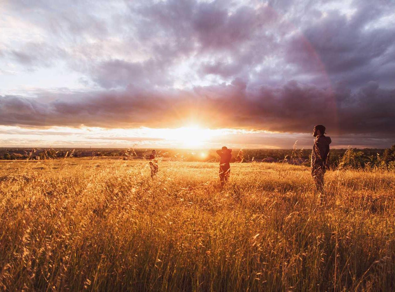 DDOS攻击平台|奉贤代理注册公司步骤