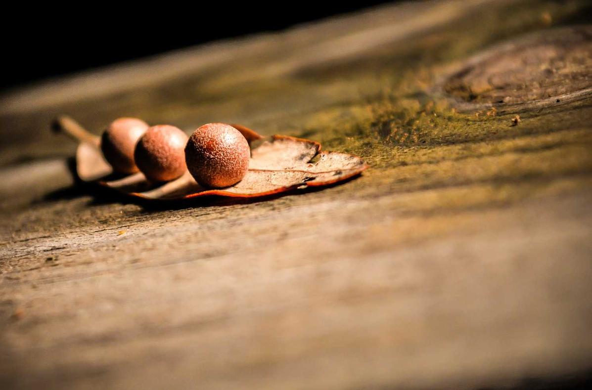 星耀娱乐，注册|专业的代理报税服务平台