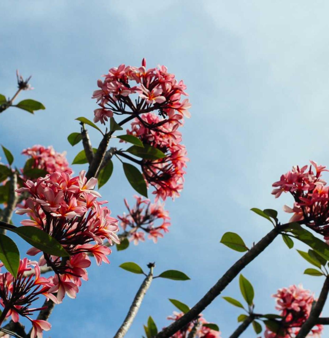 实名QQ号买卖：工商注册南京代理