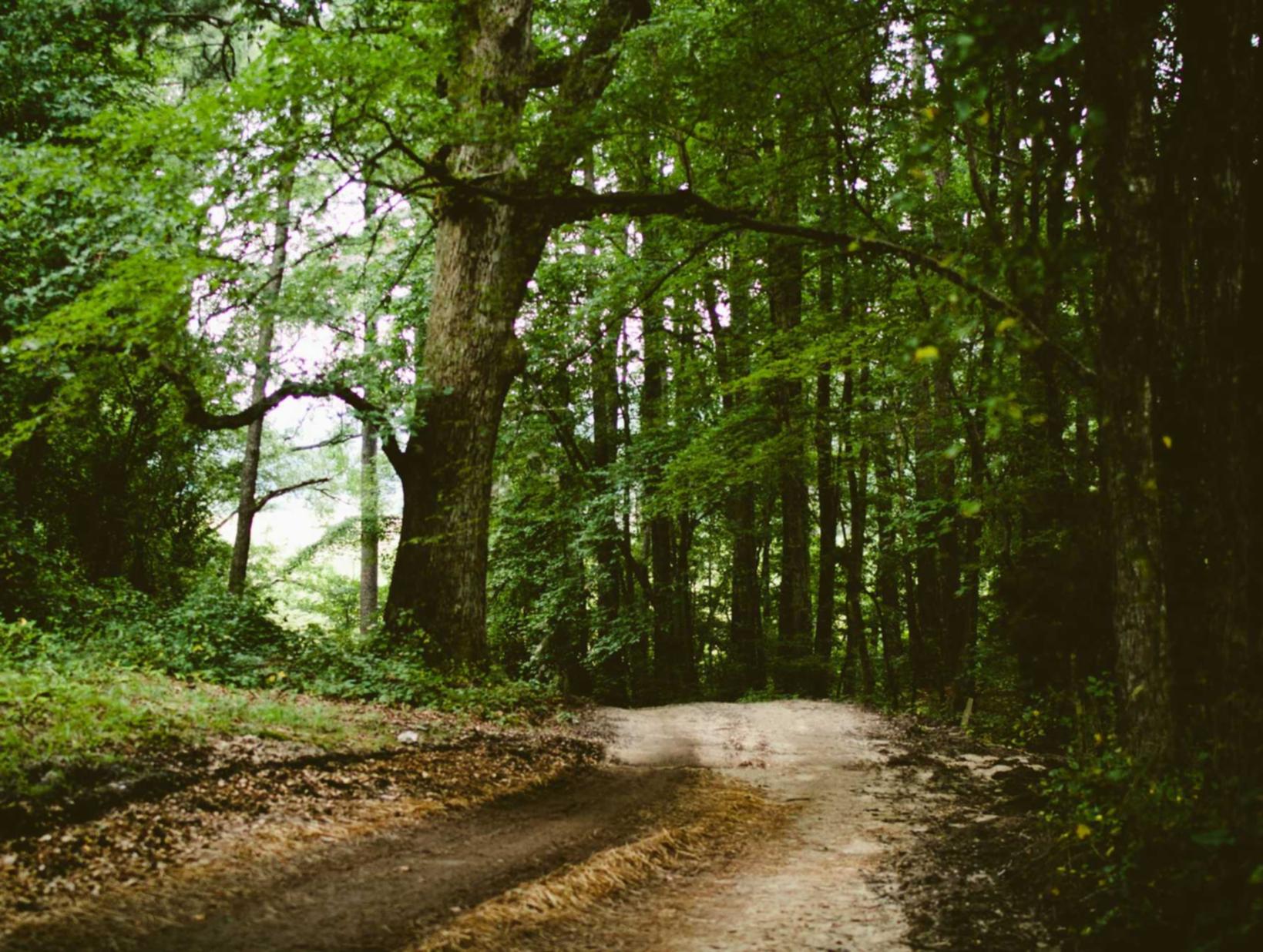 租微信号:桐庐注册公司代理