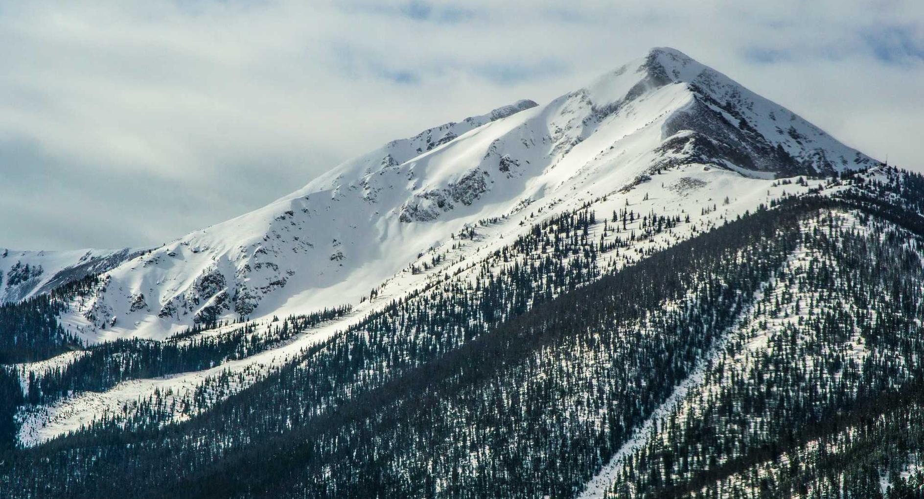 泡泡实名账号：e卡花app详情下载教程