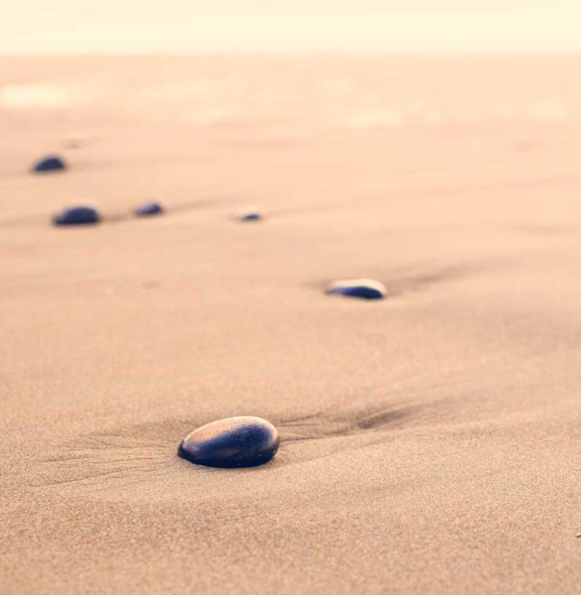 狂雨CMS- 黄骅市商标注册代理