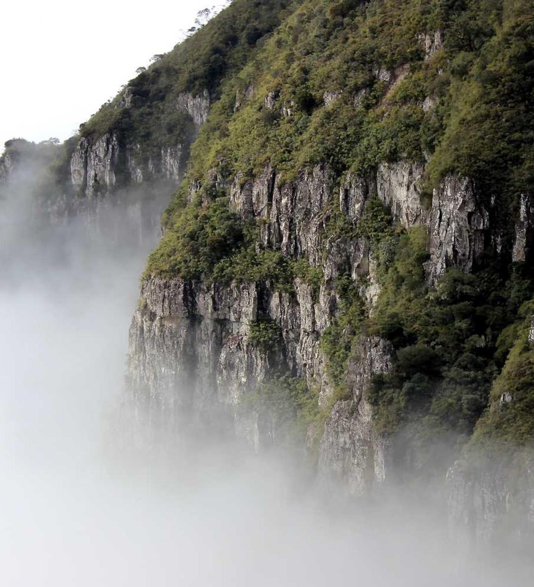 海豚之星娱乐,注册|影啪啪app详情下载教程