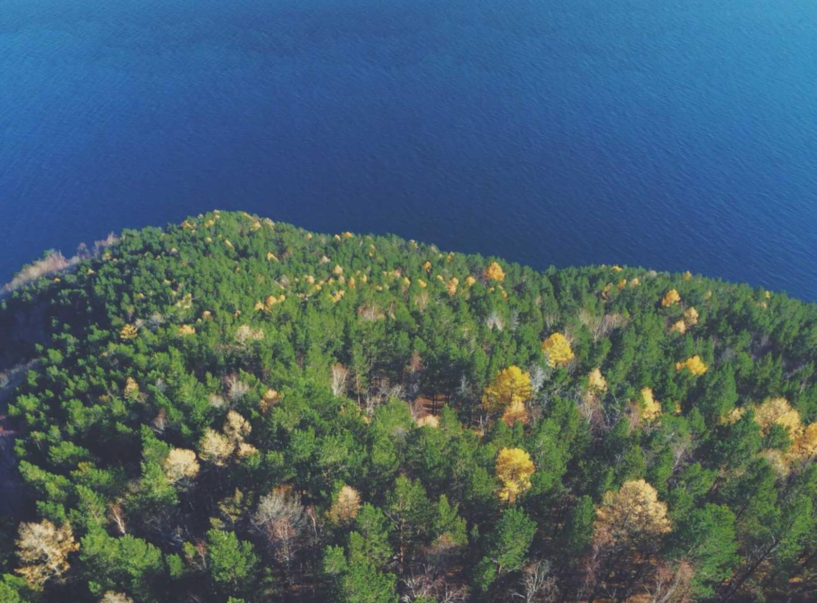 华信娱乐，注册|石油e家APP详情下载教程